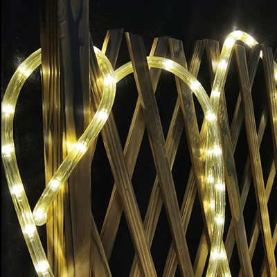 LED rope light and Motif